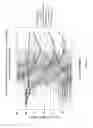 Fig. 33 - Functional influenza virus like particles (VLPs)