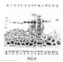 Fig. 06 - Methods for production of proteins