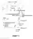 Fig. 04 - Gene encoding cyclododecanone monooxygenase