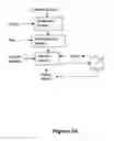 Fig. 06 - Corn fractionation method