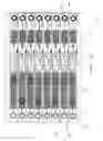 Fig. 09 - Polynucleotide sample preparation device