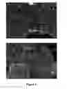 Fig. 02 - Method of inducing fenestrae
