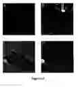 Fig. 14 - Method of inducing fenestrae