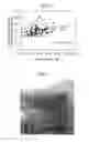 Fig. 04 - Artificial cartilage tissue and production method thereof