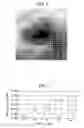 Fig. 05 - Artificial cartilage tissue and production method thereof
