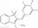 Fig. 19 - Method and compounds for the fluorescent labelling of biomolecules and polymer particles