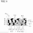 Fig. 12 - Multilayer interconnection board, semiconductor device having the same, and method of forming the same as well as method of mounting the semicondutor chip on the interconnection board