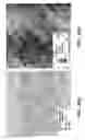 Fig. 04 - Growth of planar reduced dislocation density M-plane gallium nitride by hydride vapor phase epitaxy