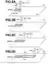 Fig. 03 - Process and system for laser annealing and laser-annealed semiconductor film