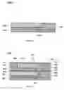 Fig. 16 - GCIB Cluster Tool Apparatus and Method of Operation