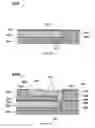 Fig. 19 - GCIB Cluster Tool Apparatus and Method of Operation