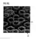 Fig. 08 - Method for cleaning a semiconductor wafer