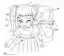 Fig. 01 - Doll and face-licking puppy combination