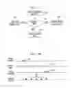 Fig. 07 - Scanning for network connnections with variable scan rate