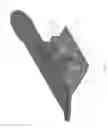 Fig. 04 - SKATEBOARD SIMULATOR