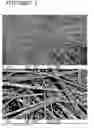 Fig. 08 - Cerium-based oxide fiber and its fabricating method