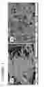 Fig. 10 - Cerium-based oxide fiber and its fabricating method