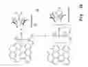 Fig. 03 - Polymer-based composites comprising carbon nanotubes as a filler, method for producing said composites, and associated uses