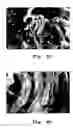Fig. 06 - Polymer-based composites comprising carbon nanotubes as a filler, method for producing said composites, and associated uses