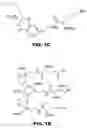 Fig. 03 - Nano-reagents with cooperative catalysis and their uses in multiple phase reactions