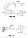 Fig. 04 - Nano-reagents with cooperative catalysis and their uses in multiple phase reactions