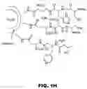 Fig. 06 - Nano-reagents with cooperative catalysis and their uses in multiple phase reactions
