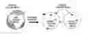 Fig. 01 - Supported catalyst for fuel cell, method of preparing the same, electrode for fuel cell including the supported catalyst, and fuel cell including the electrode