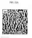 Fig. 16 - Photocatalyst including oxide-based nanomaterial