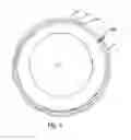 Fig. 06 - Multiuse, solid cleaning device and composition