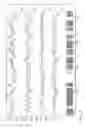 Fig. 07 - Novel Polypeptide Hormone Phosphatonin