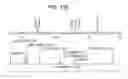Fig. 18 - Novel Polypeptide Hormone Phosphatonin