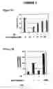 Fig. 02 - Use of chk1 inhibitors to control cell proliferation