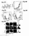 Fig. 10 - peptides for bacterial interference