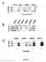 Fig. 06 - Novel antimicrobial peptides with heparin binding activity