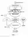 Fig. 02 - Reducing polyglutamine-based aggregation