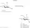 Fig. 06 - Sulfated oligosaccharide derivatives