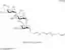 Fig. 22 - Sulfated oligosaccharide derivatives