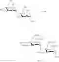 Fig. 45 - Sulfated oligosaccharide derivatives