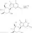 Fig. 86 - Seven-membered ring nucleosides