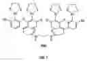 Fig. 09 - Synthetic molecules that specifically react with target sequences