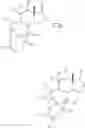 Fig. 14 - Process of obtaining taxosteroids and precursors thereof