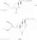 Fig. 32 - Process of obtaining taxosteroids and precursors thereof