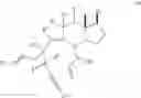 Fig. 40 - Process of obtaining taxosteroids and precursors thereof