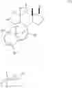 Fig. 41 - Process of obtaining taxosteroids and precursors thereof