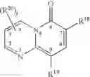 Fig. 16 - 14 and 15 membered ring compounds
