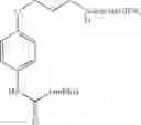 Fig. 02 - Drug-Polymer Conjugates