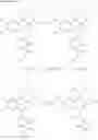 Fig. 11 - Novel amido-substituted hydroxy-6-phenylphenanthridines and their use as pde4 inhibtors