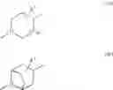Fig. 03 - COMPOUNDS