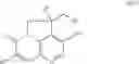 Fig. 06 - COMPOUNDS