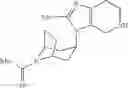 Fig. 74 - Tropane derivatives useful in therapy